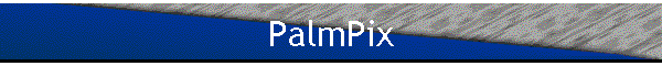 PalmPix